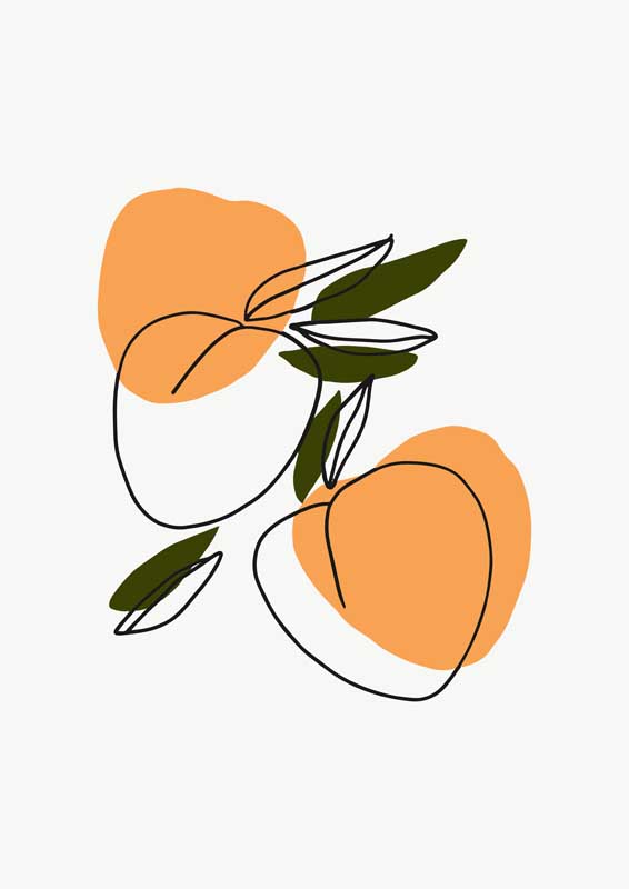 蜜道撑开